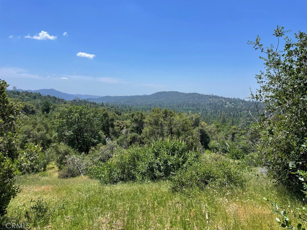 0 Triangle Road Mariposa, CA 95338 - Photo 8 of 18 a view of a lush green outdoor space with a lake view