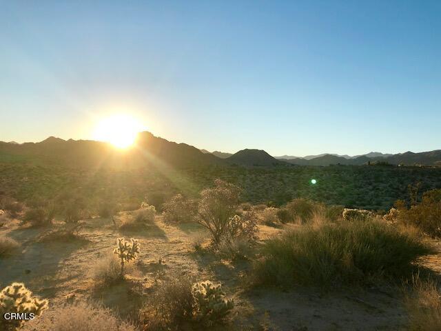7354 Quail Springs Road Joshua Tree, CA 92252 - Photo 55 of 56 QS Sunrise2
