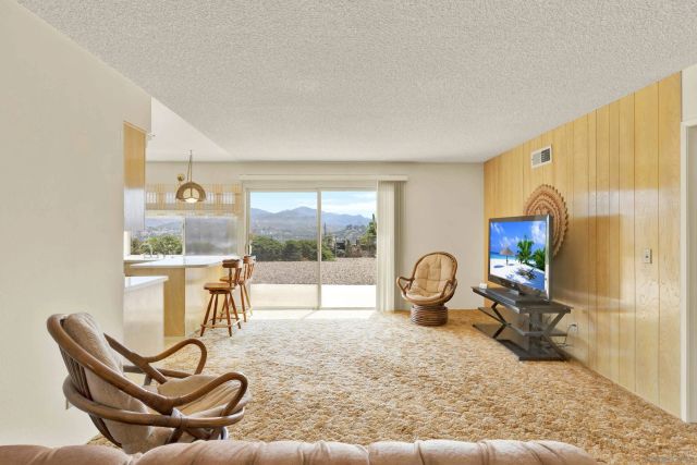 a living room with furniture a rug and a large window