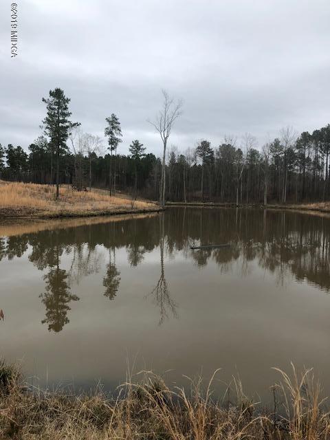 0 Lindsey Road Culloden, GA 31016 - Photo 1 of 1 IMG_0994 (1)