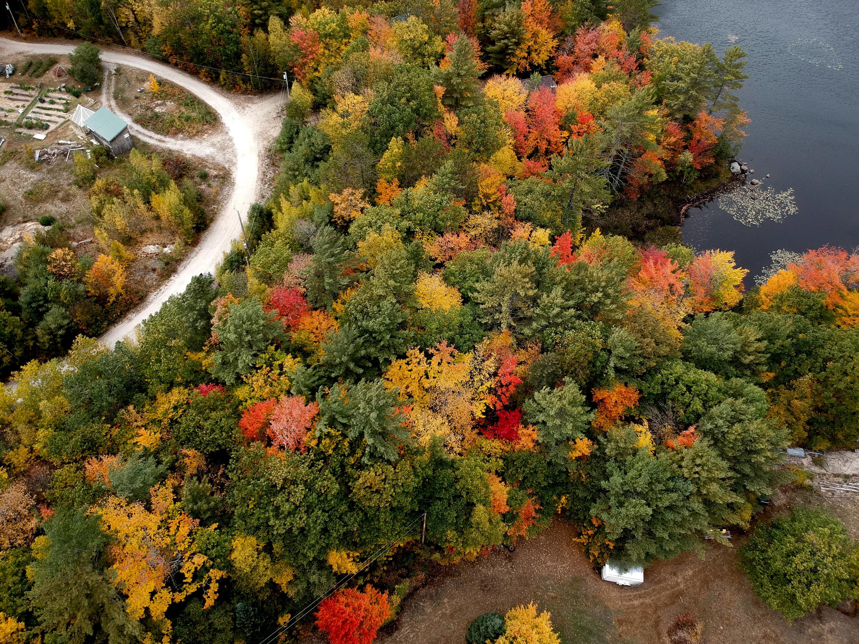 Lot 3 Goss Pond Road Bethel, ME 04217 - Photo 6 of 15 DJI_0385(2)