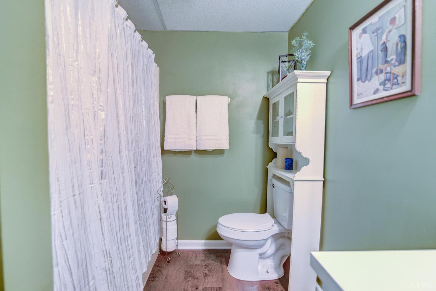 1006 Oxford Point Road Lynchburg, VA 24503 - Photo 28 of 41 Gallery Image 28