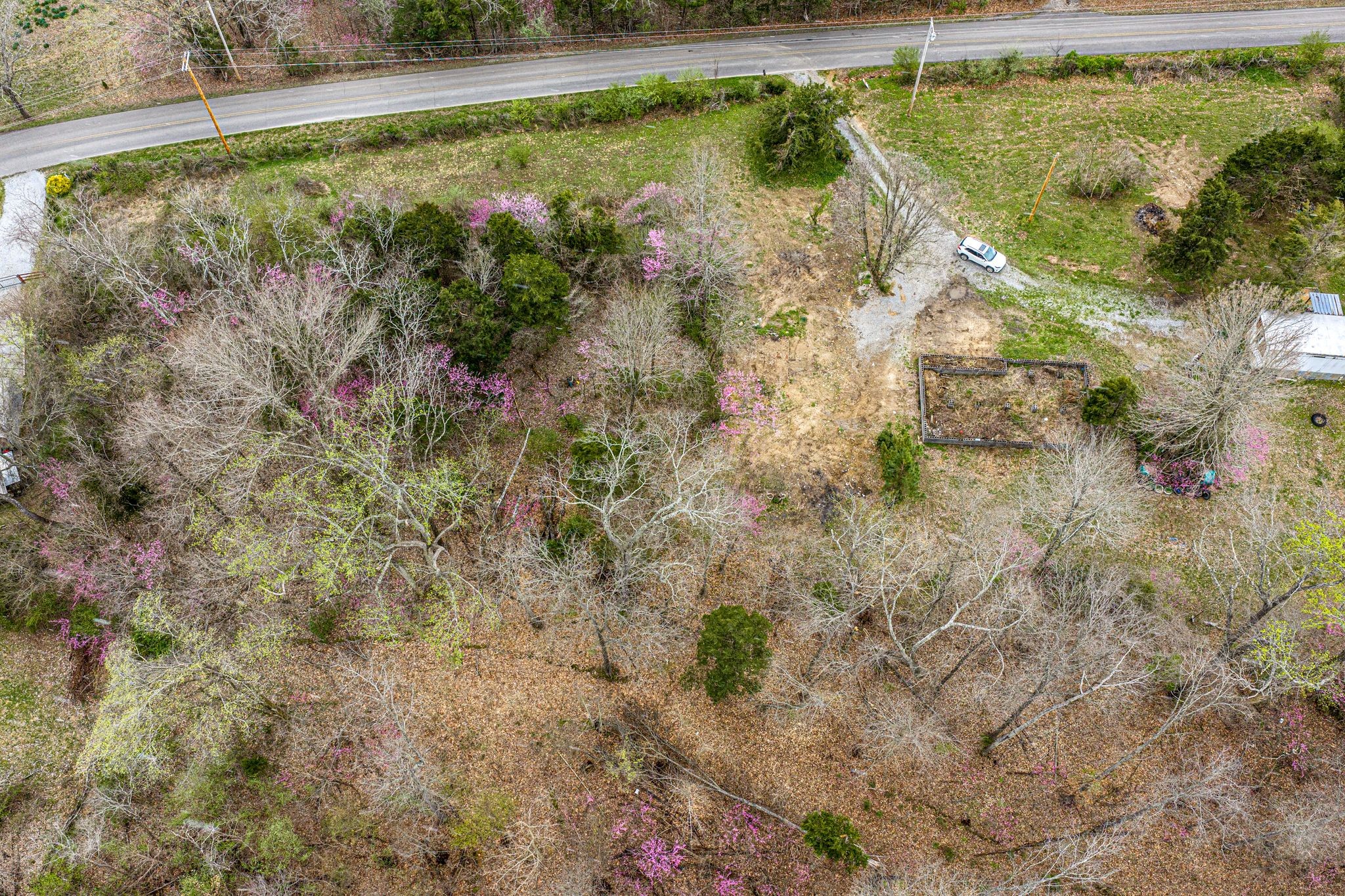 1720 Tidwell Switch Road Dickson, TN 37055 - Photo 4 of 5