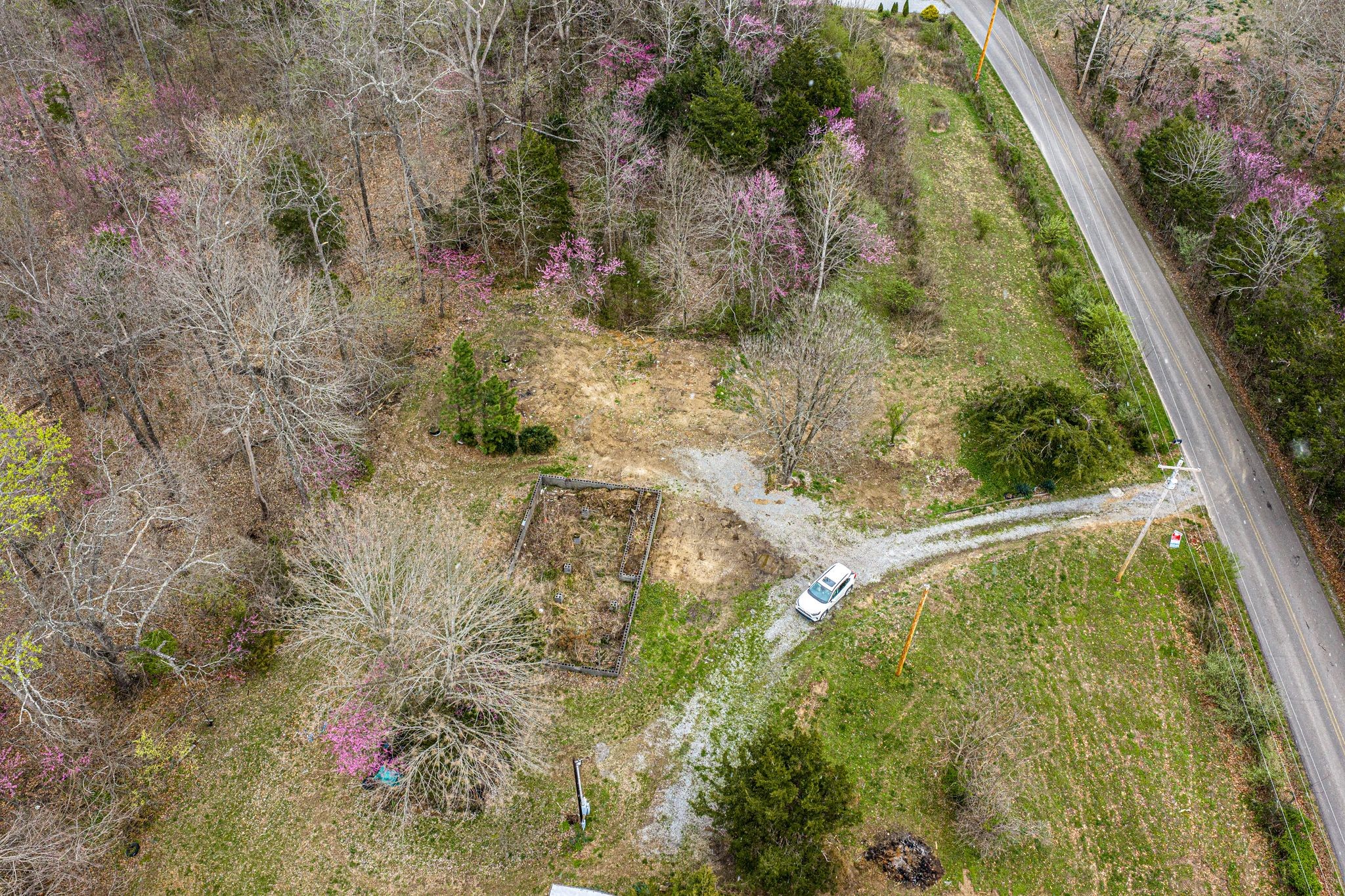 1720 Tidwell Switch Road Dickson, TN 37055 - Photo 5 of 5