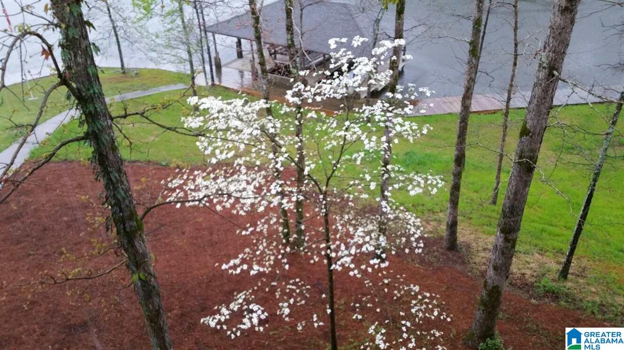533 Lakeshore Drive West Oneonta, AL 35121 - Photo 3 of 18