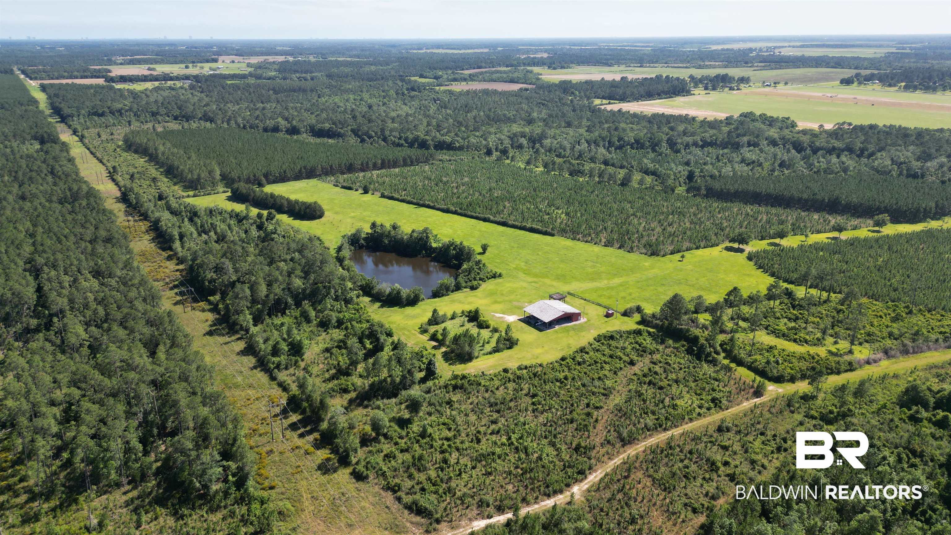 0 County Road 87 Elberta, AL 36530 - Photo 9 of 46