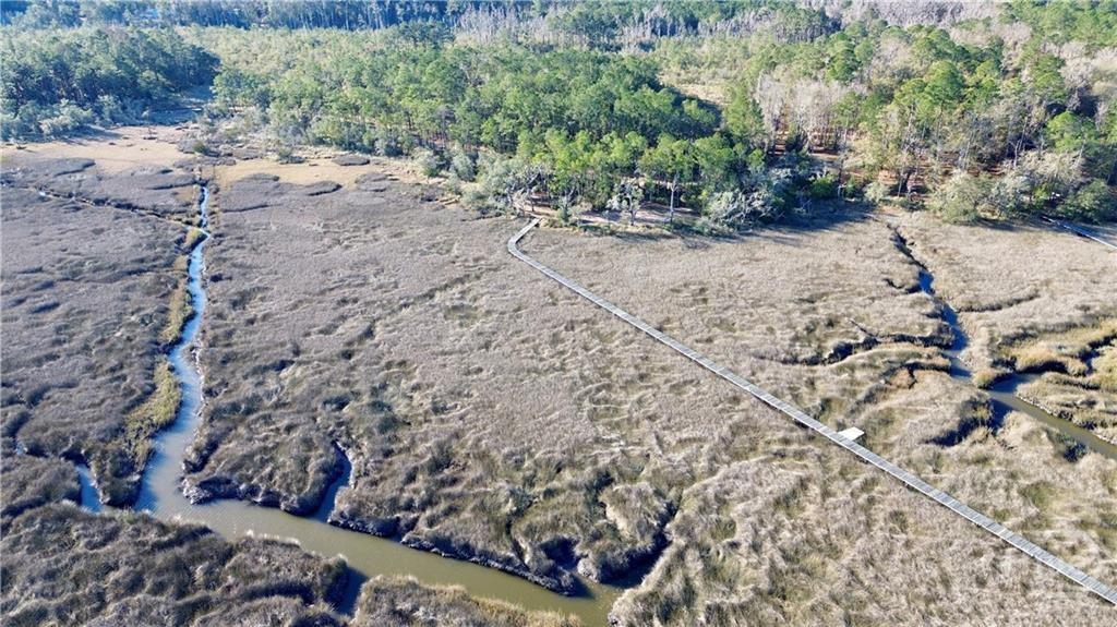 Tract4 South Newport Road Northeast Townsend, GA 31331 - Photo 1 of 14