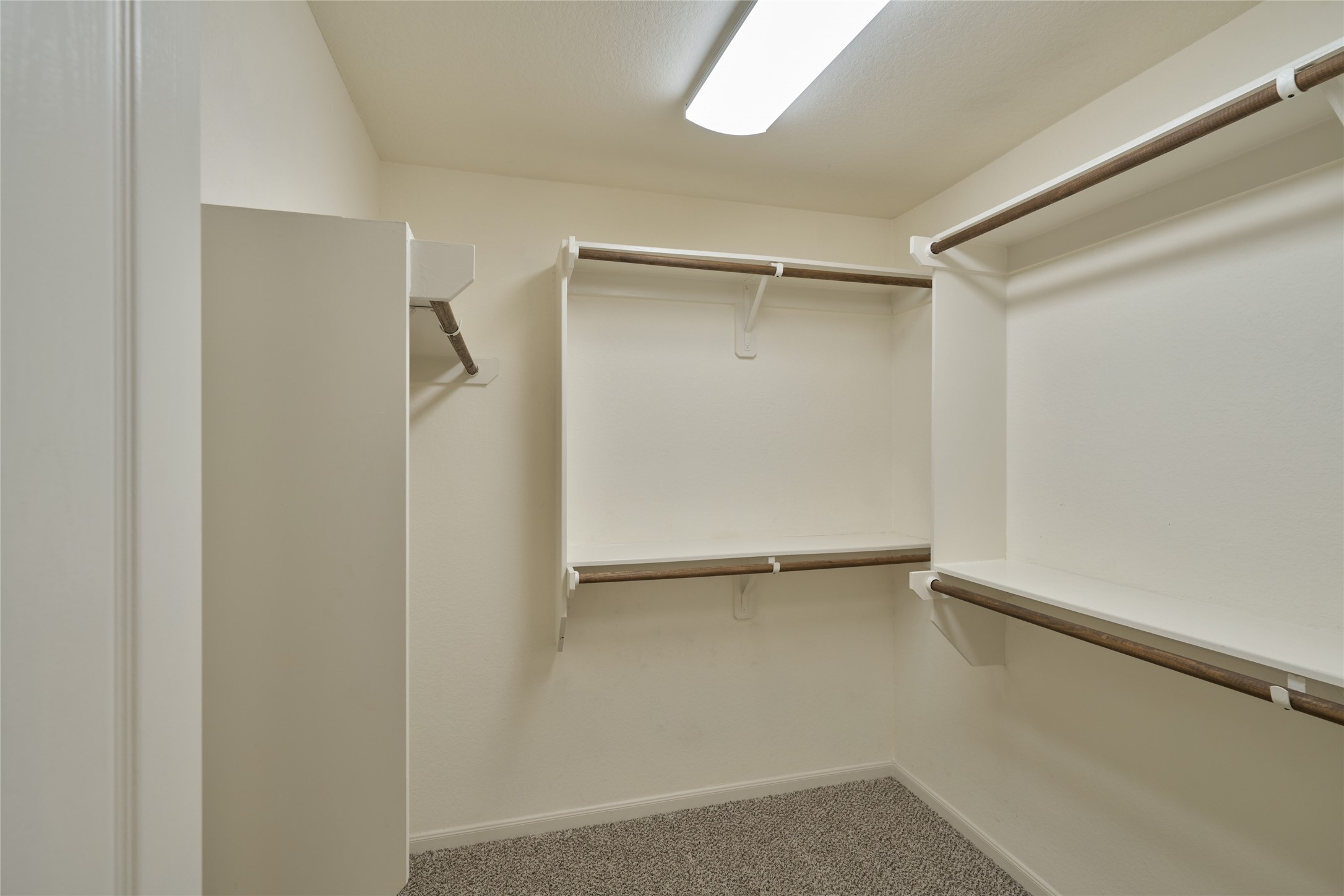 116 Fox Trail Road Montgomery, TX 77316 - Photo 31 of 50 Spacious, well-lit walk-in primary closet with ample shelving and hanging space, featuring neutral walls and carpeted flooring.