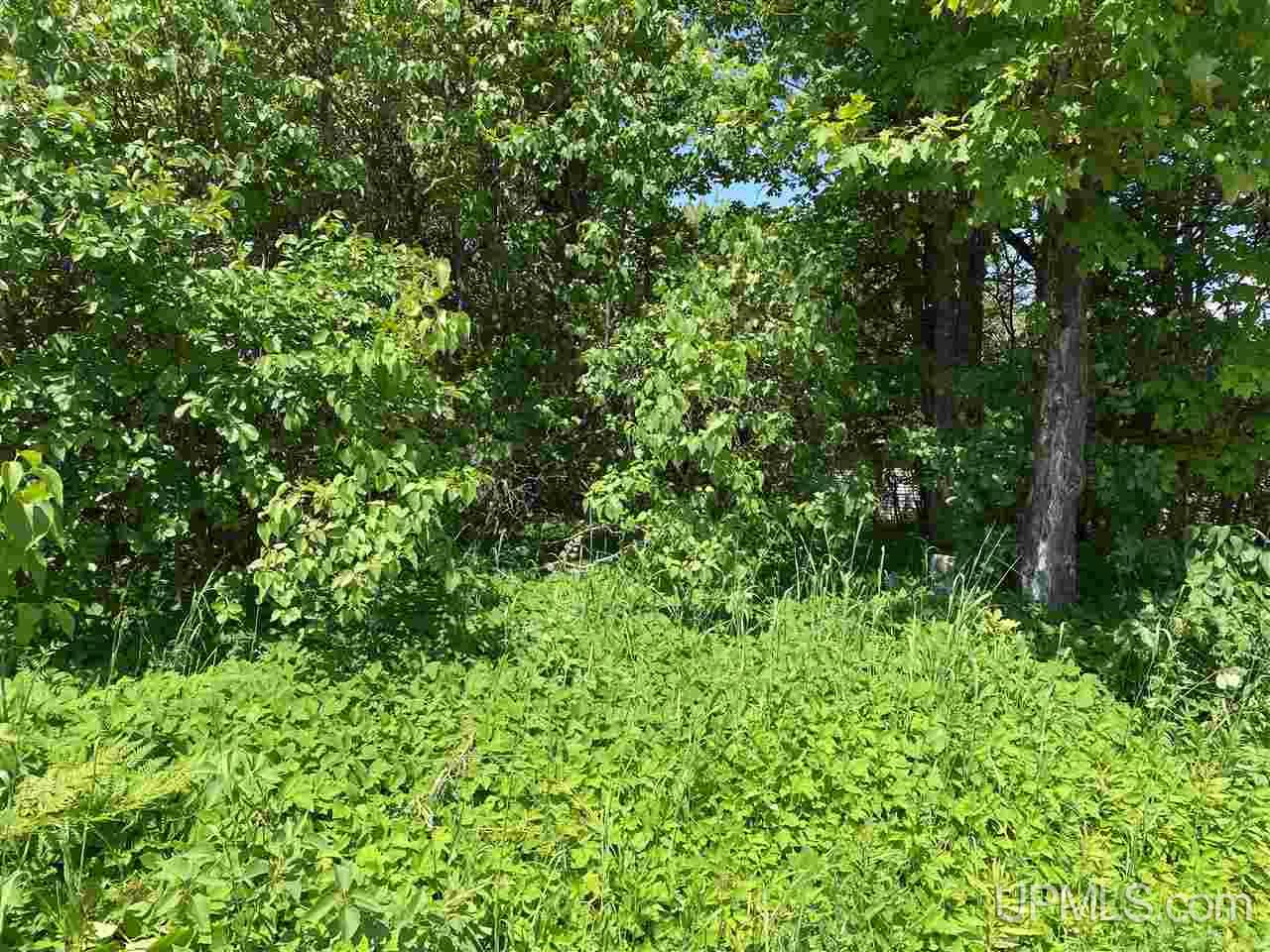 Tbd West Main Street Michigamme, MI 49861 - Photo 3 of 6