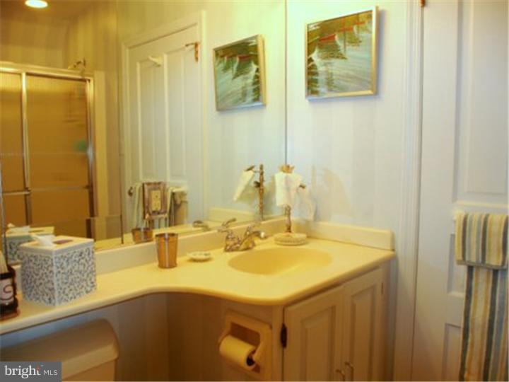 535 Ballytore Road Wynnewood, PA 19096 - Photo 19 of 25 Bathroom