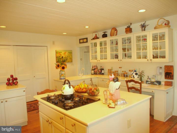 535 Ballytore Road Wynnewood, PA 19096 - Photo 10 of 25 Kitchen