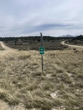 $401,000 | Lower Lamoille/hog Tommy Rd Spring Creek, Spring Creek, NV 89815