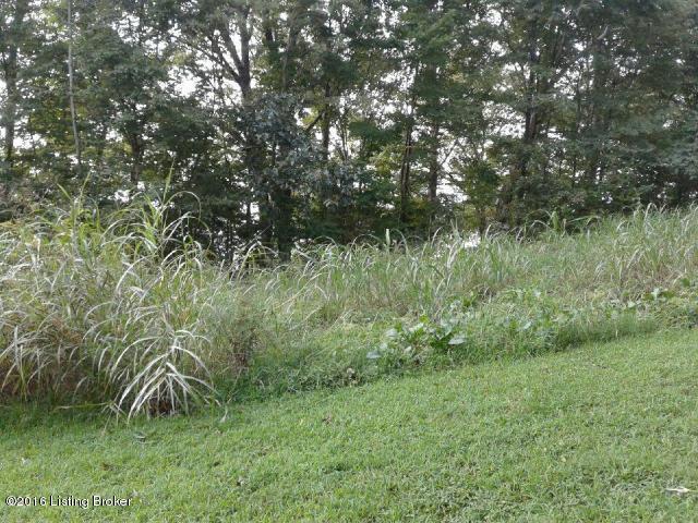 1712 Bailey Point Road Scottsville, KY 42164 - Photo 2 of 5 lot 19 2