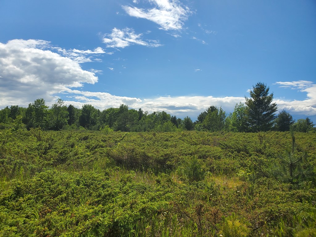 Lot 11 Timberline Road Ellison Bay, WI 54210 - Photo 2 of 6