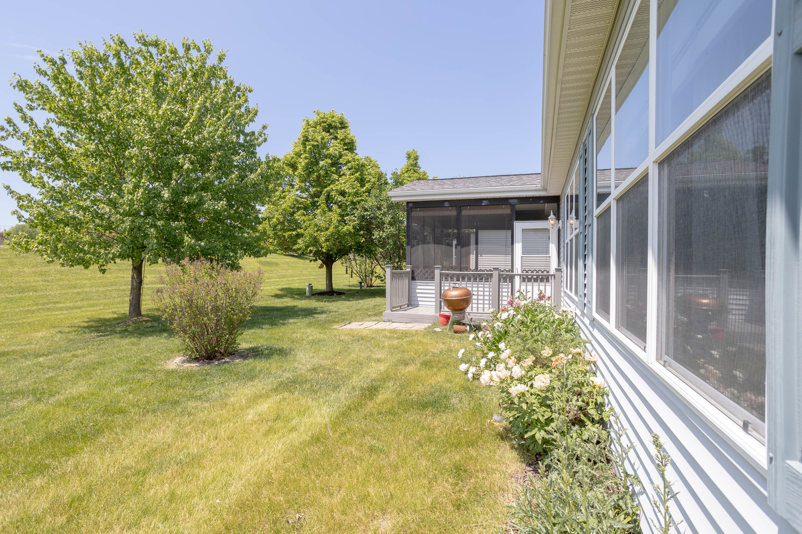 212 Rodeo Drive, Unit 2179 Grayslake, IL 60030 - Photo 5 of 31 a view of backyard with tree