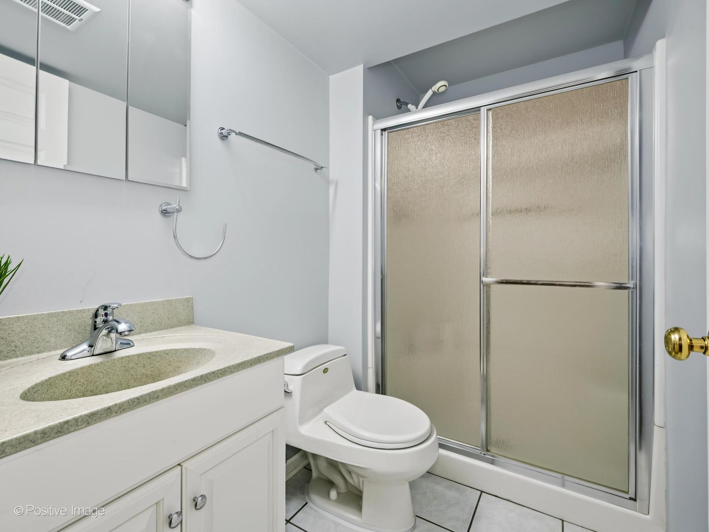 129 Chestnut Hills Circle, Unit 129 Burr Ridge, IL 60527 - Photo 22 of 25 Gallery Image 22