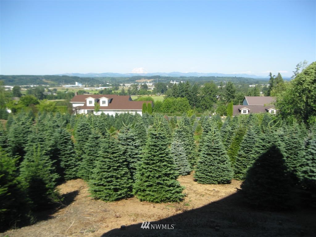 156 Hojem Heights Road Chehalis, WA 98532 - Photo 7 of 21