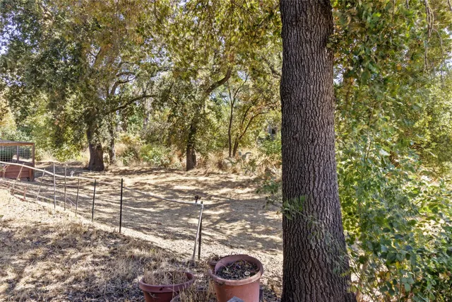 a view of yard with large trees