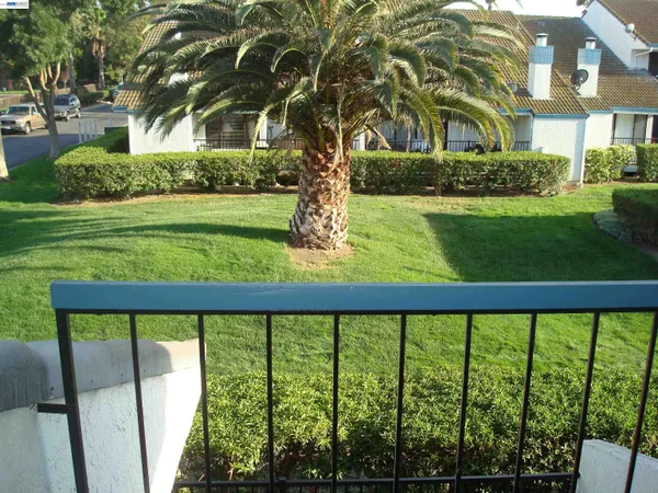 a view of a yard with large trees