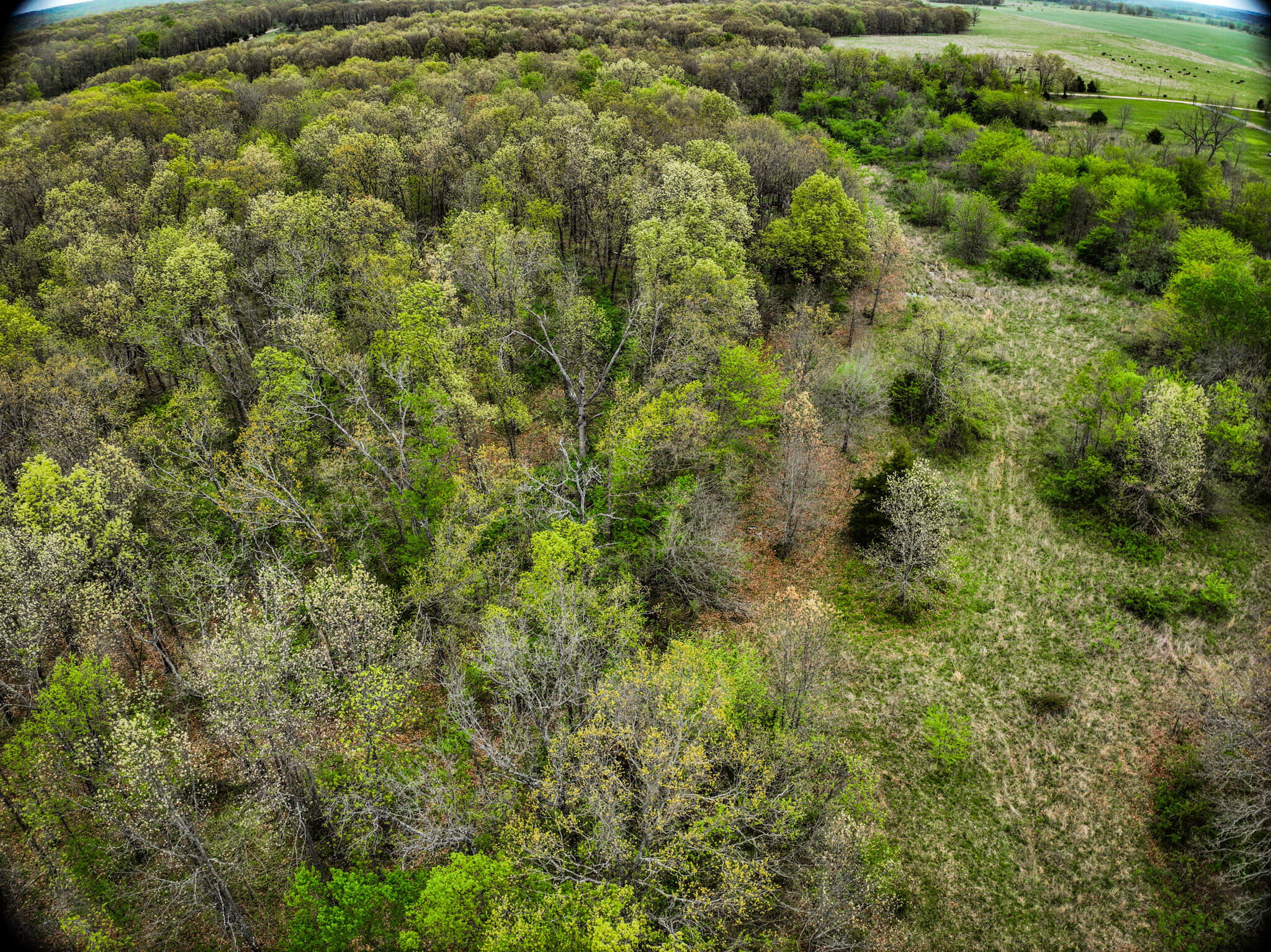Lot 2 South 725 Road Stockton, MO 65785 - Photo 19 of 46 Stockton_725_Rd-63