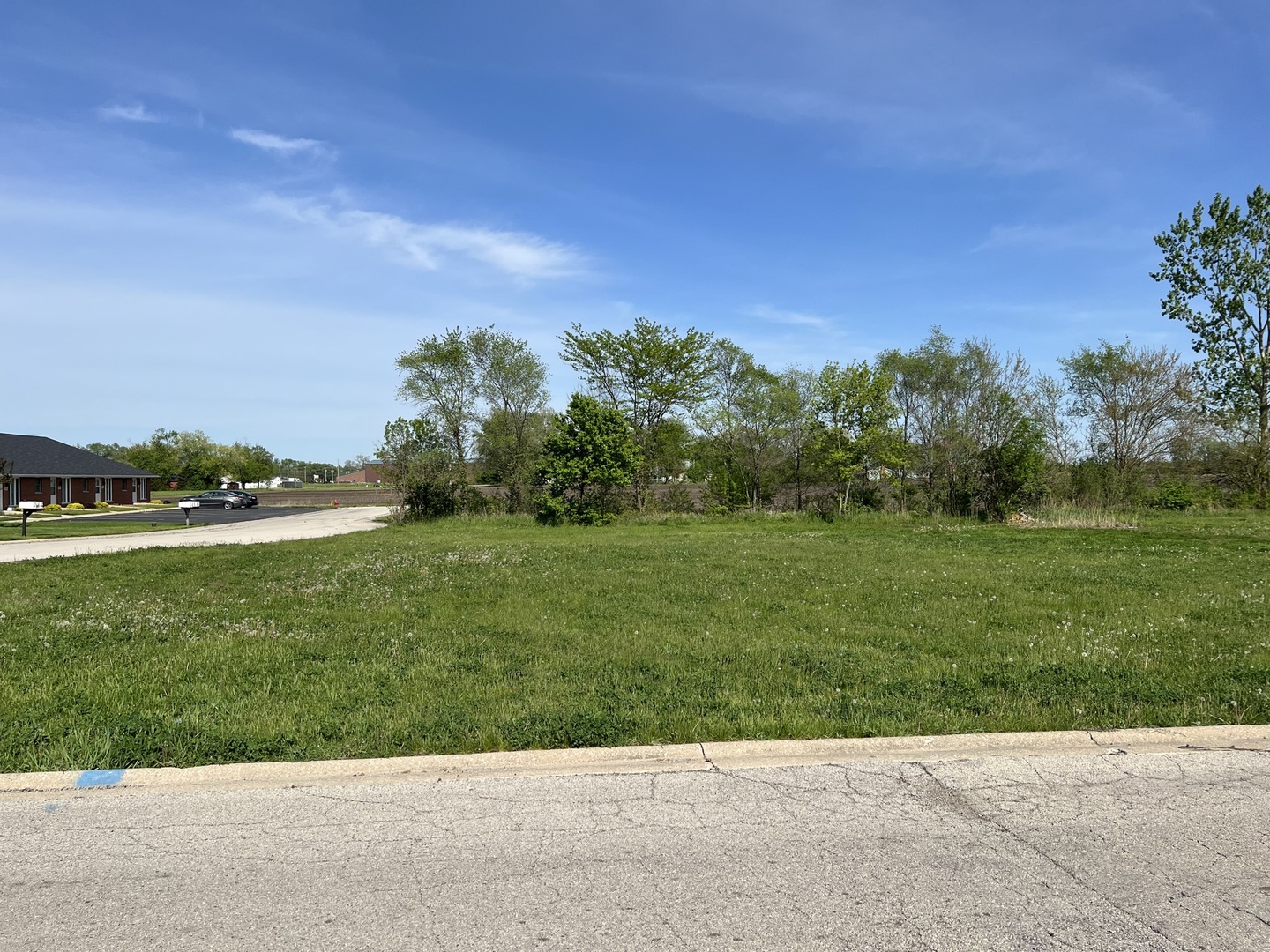 a view of a garden with trees