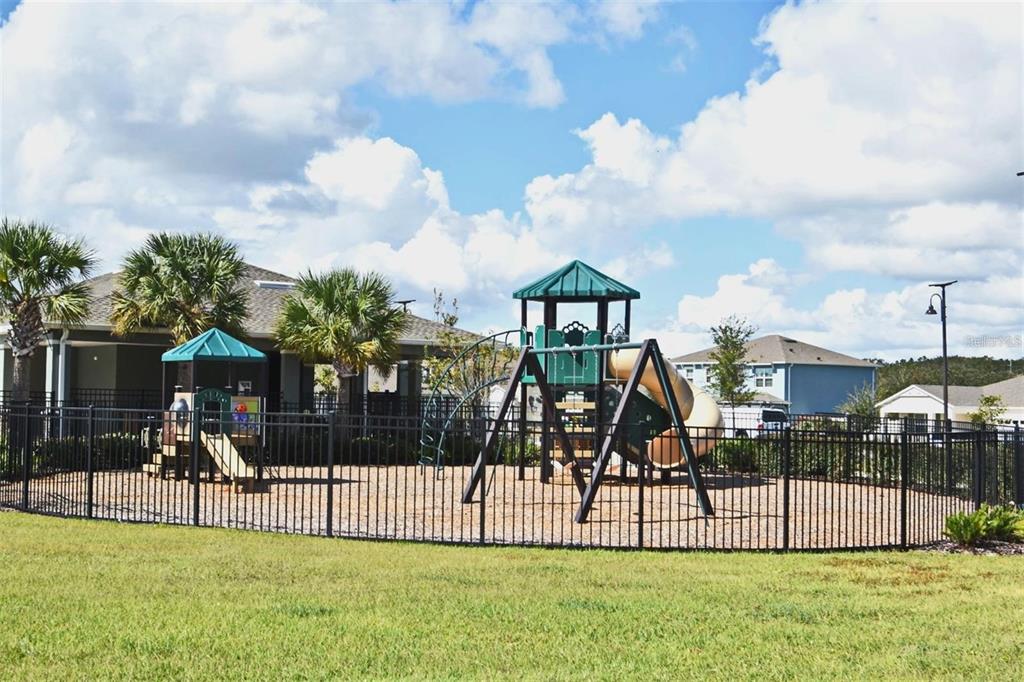 1237 Limbali Street Mount Dora, FL 32757 - Photo 15 of 19