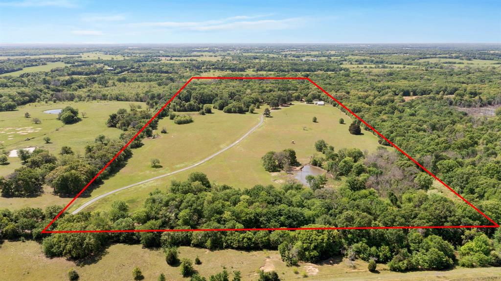 321 Vz County Road 2602 Wills Point, TX 75169 - Photo 2 of 39 Aerial view with a forest view