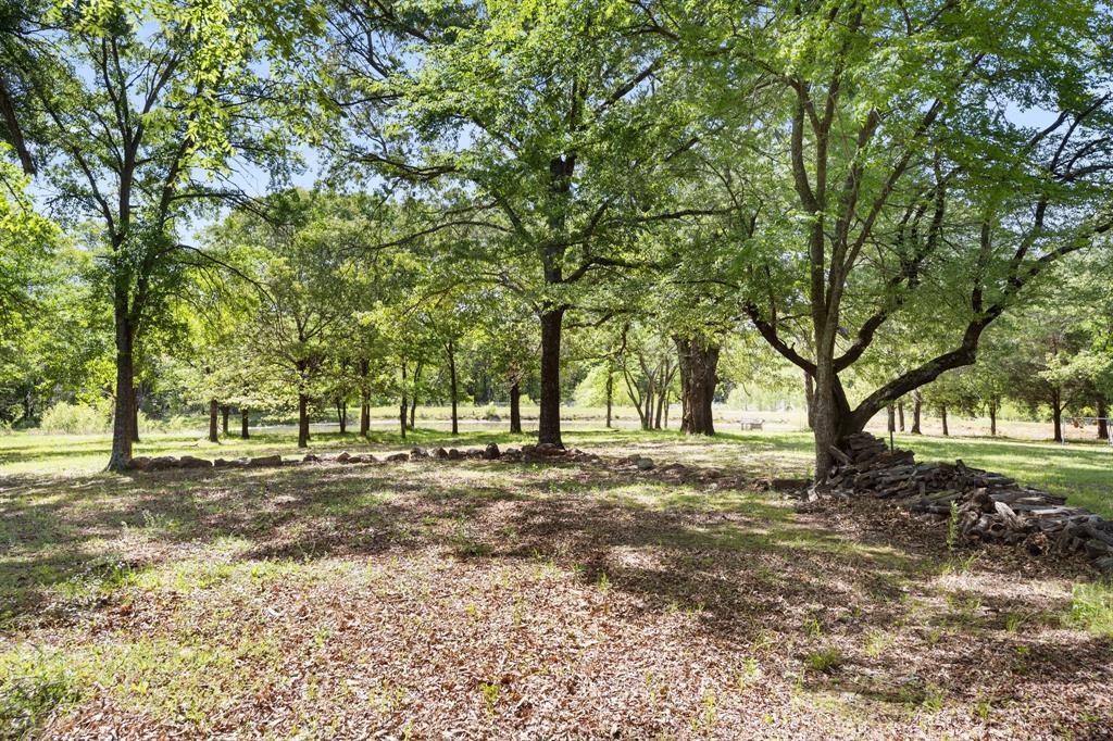 321 Vz County Road 2602 Wills Point, TX 75169 - Photo 34 of 39 View of local wilderness