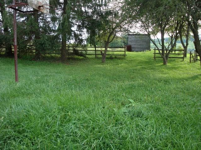 68 Boggs Road Alderson, WV 24910 - Photo 16 of 20 backyard