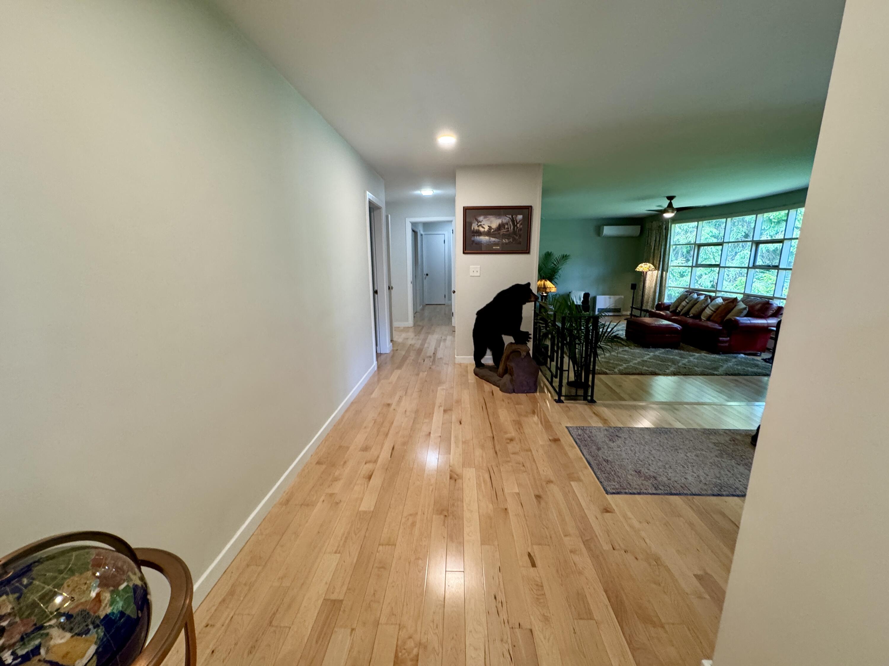 281 Clyde Road Bangor, ME 04401 - Photo 43 of 108 IMG_9166