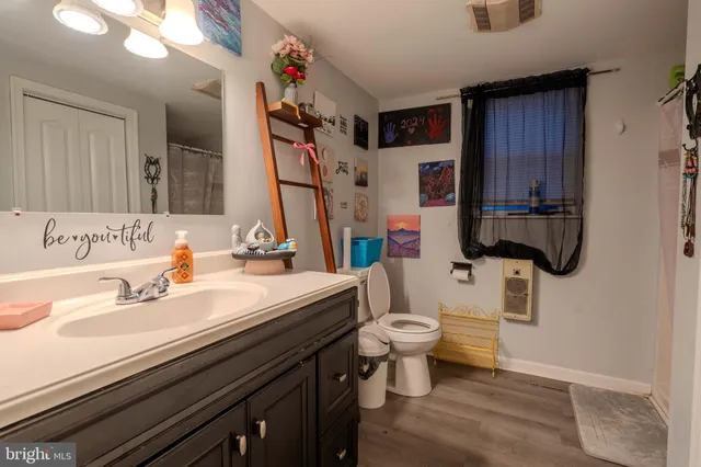 a bathroom with a sink a toilet and a mirror