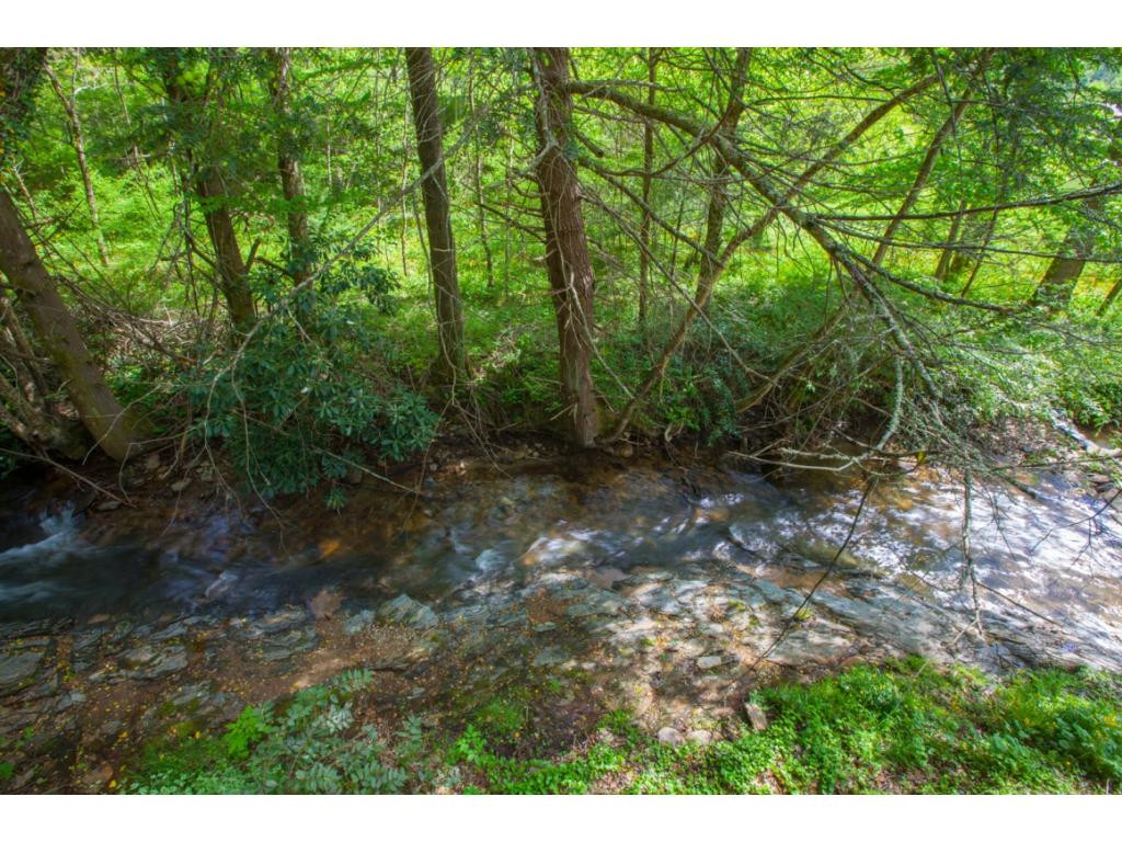 2040 Spivey Mountain Road Erwin, TN 37650 - Photo 13 of 36 Photo 13