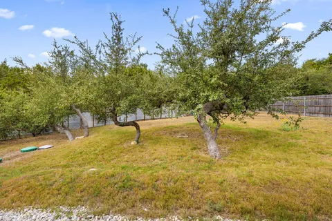 a swimming pool with trees in front of it
