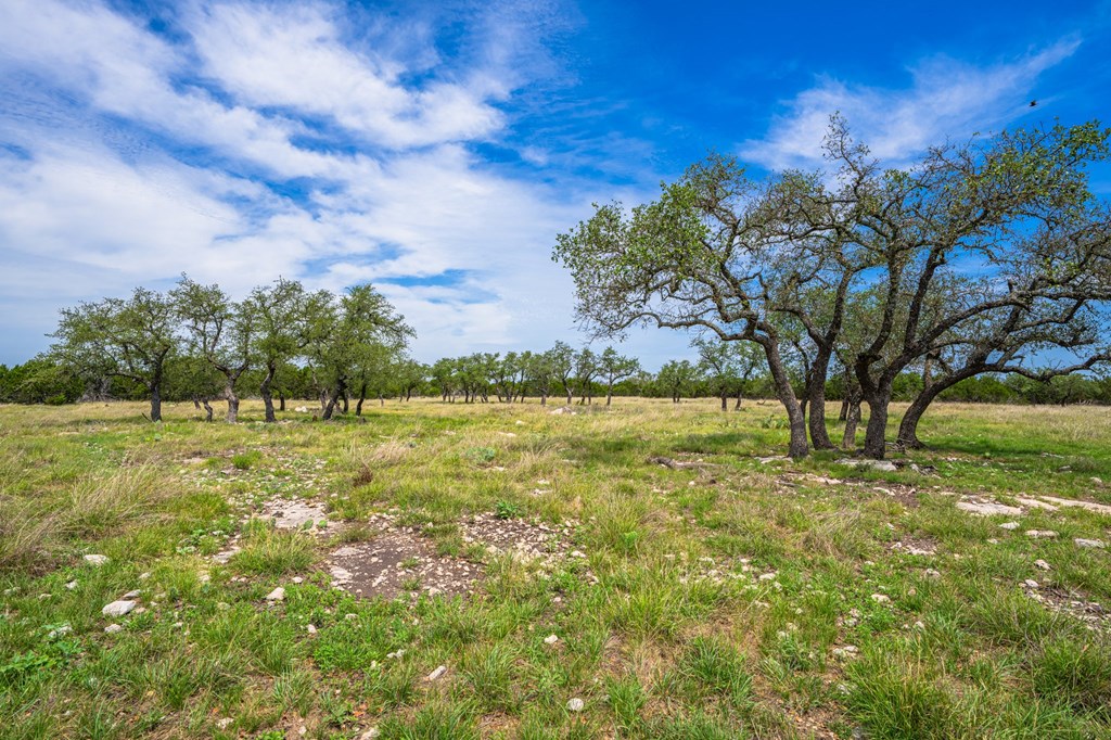 3526 Stapp Ranch Road Harper, TX 78631 - Photo 27 of 30