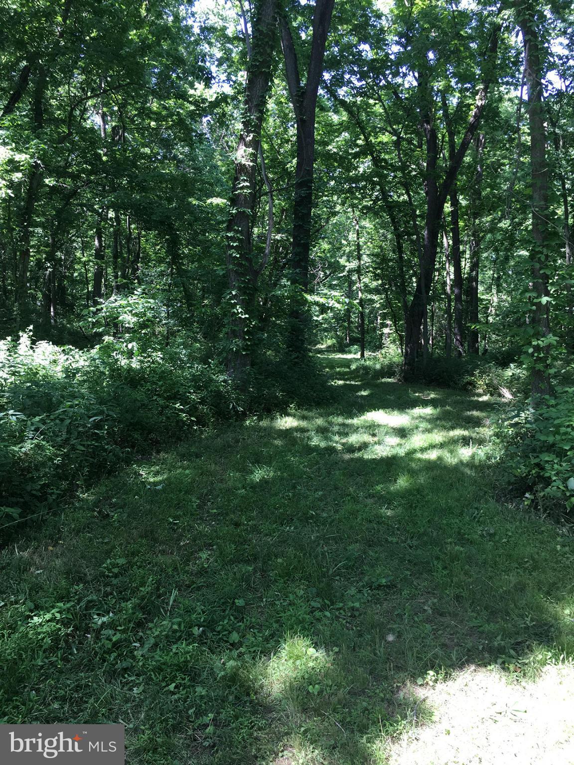 1028 Summit Point Road Berryville, VA 22611 - Photo 6 of 10 View