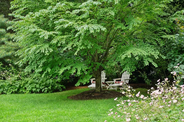 a view of a garden with trees