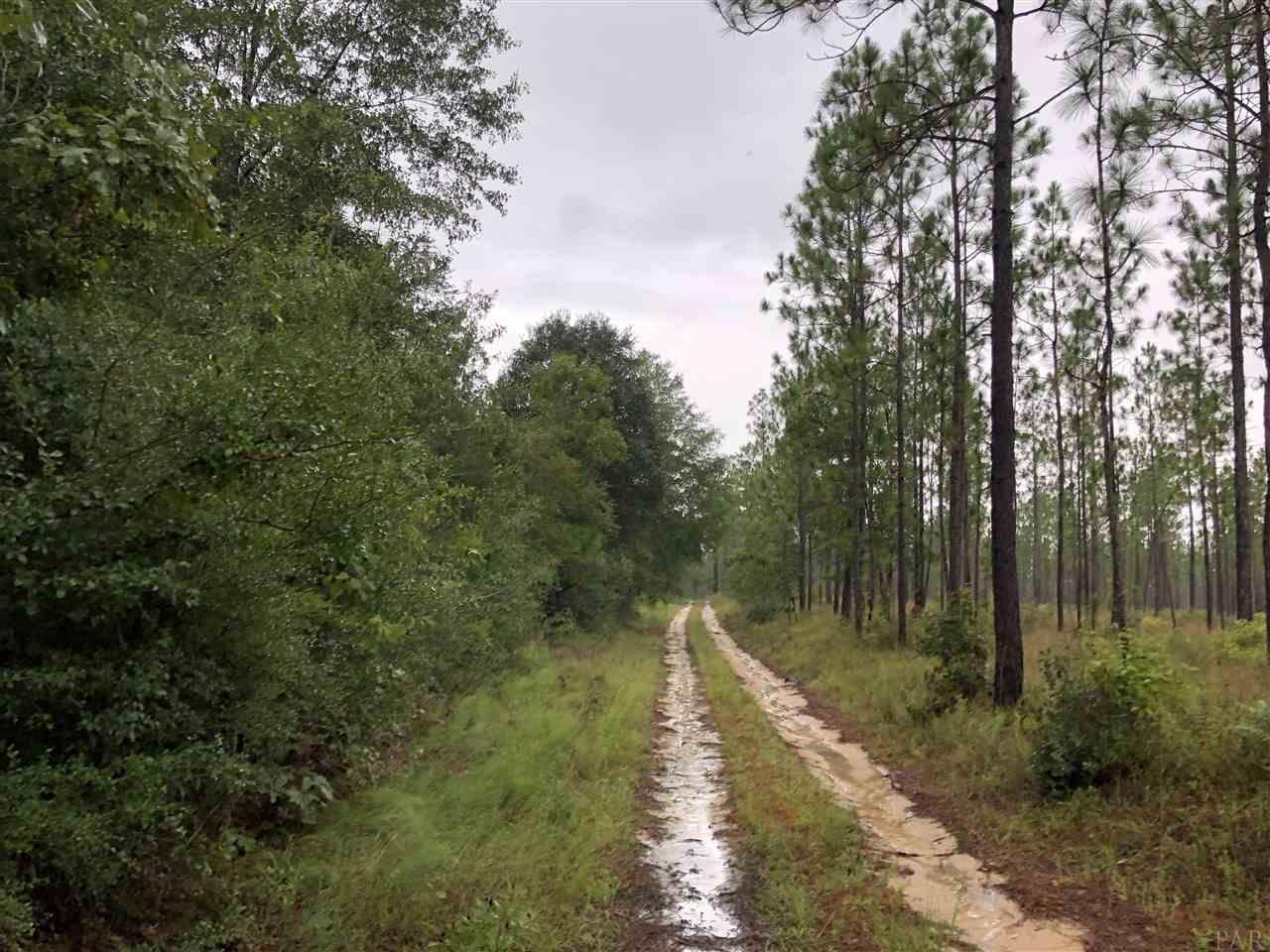Morning Mist Road Holt, FL 32564 - Photo 2 of 5 Gallery Image 2