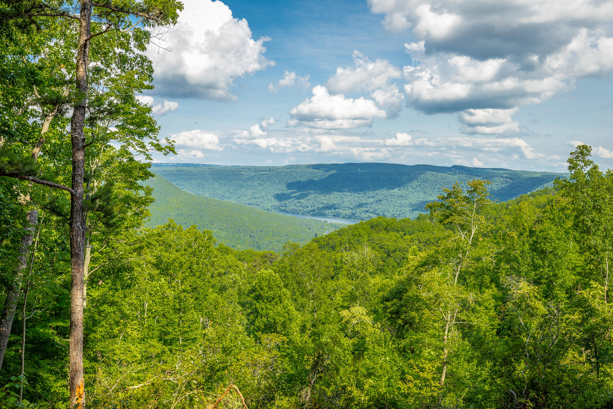0 Back Basin Trail, Unit LOT 1244 Chattanooga, TN 37419 - Photo 26 of 119 MCW Correction HD-30