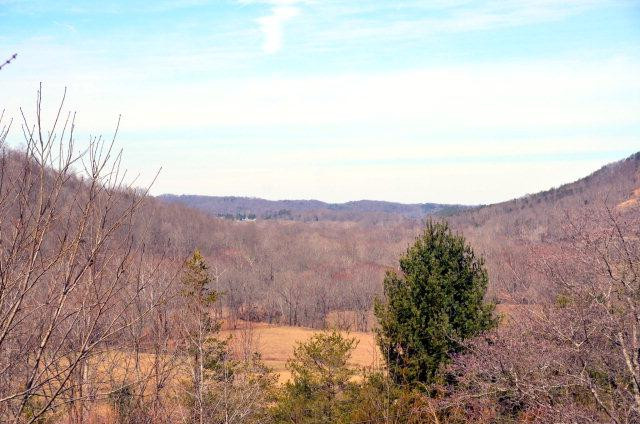 550 Murphy Ford Road Irvine, KY 40336 - Photo 2 of 44 Photo 3