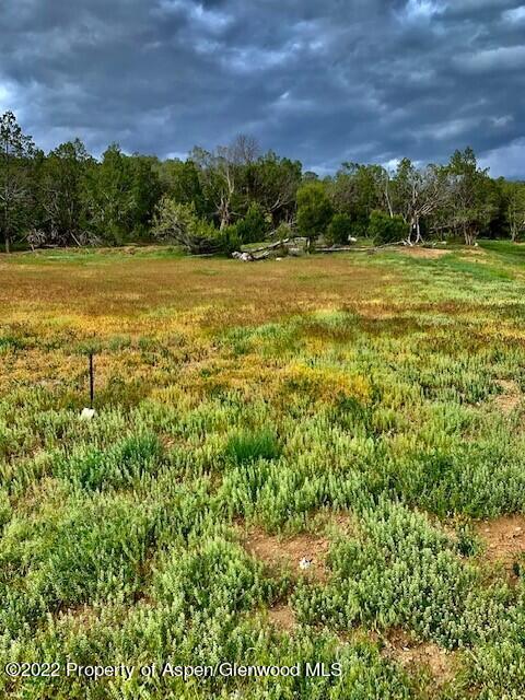 346 Faas Ranch Road New Castle, CO 81647 - Photo 1 of 3 Lakota Canyon Ranch 346 Lot
