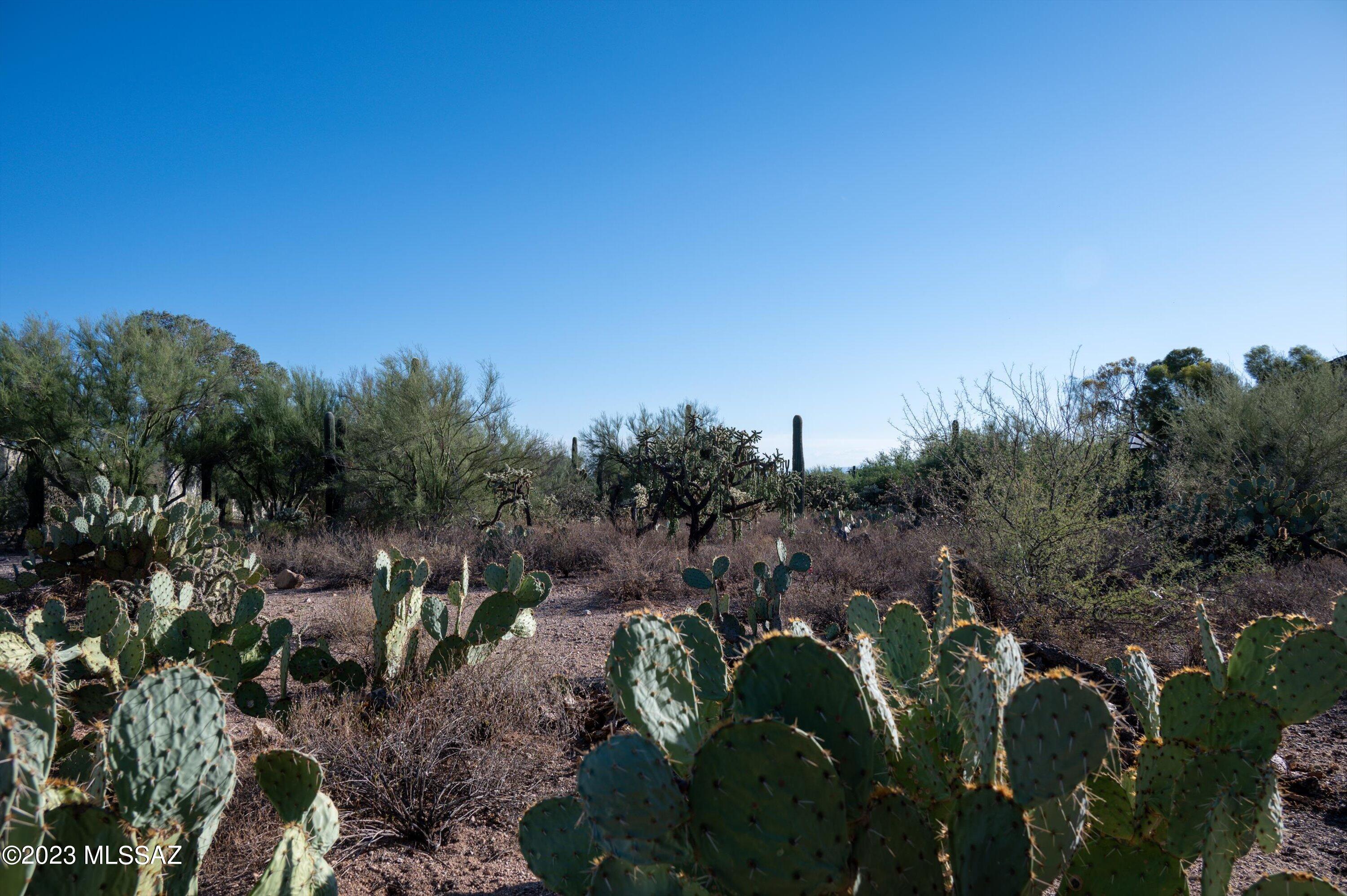 0 North Valley View Road Tucson, AZ 85718 - Photo 20 of 20