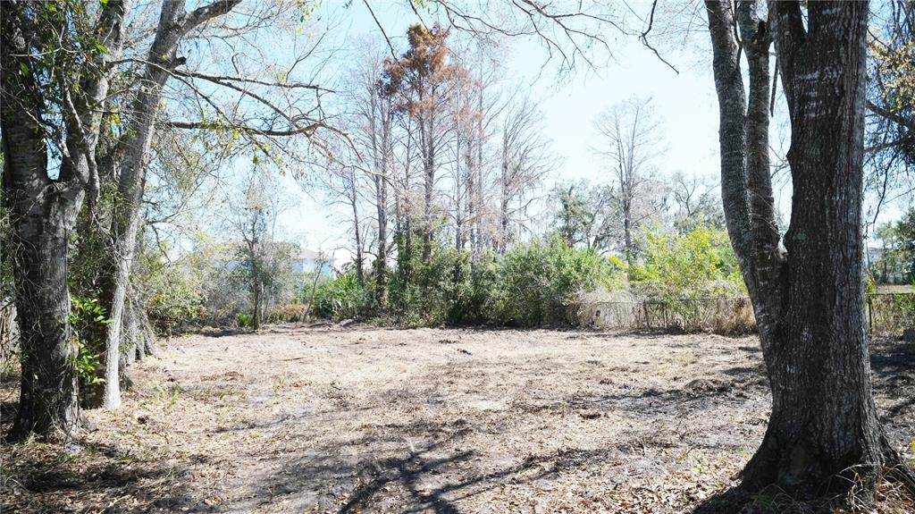 0 North Lockwood Ridge Road Sarasota, FL 34243 - Photo 3 of 7 a view of a yard covered with snow in the background