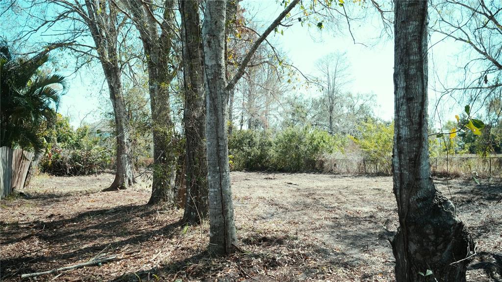 0 North Lockwood Ridge Road Sarasota, FL 34243 - Photo 4 of 7 a view of a yard with large trees