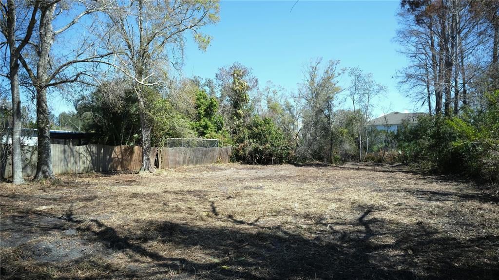 0 North Lockwood Ridge Road Sarasota, FL 34243 - Photo 6 of 7 a view of a yard with trees