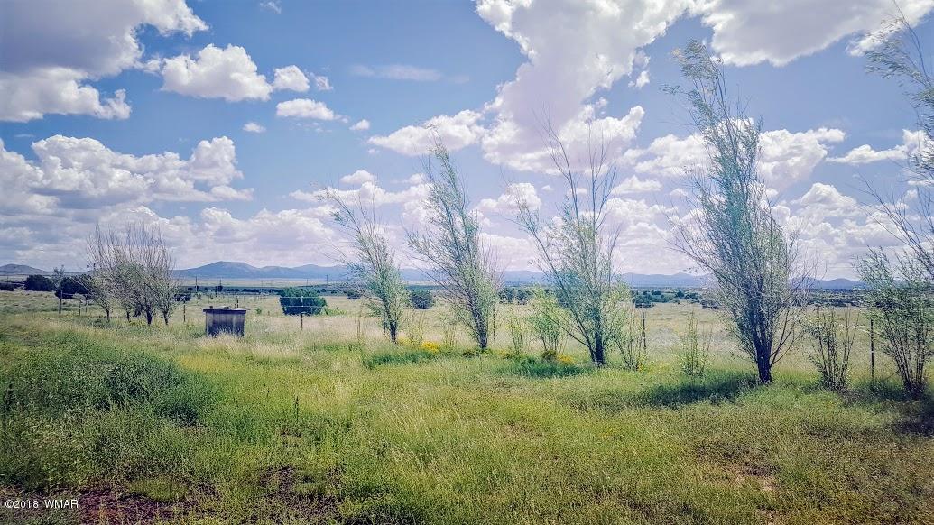 21 County Road, Unit 2 Concho, AZ 85924 - Photo 3 of 42