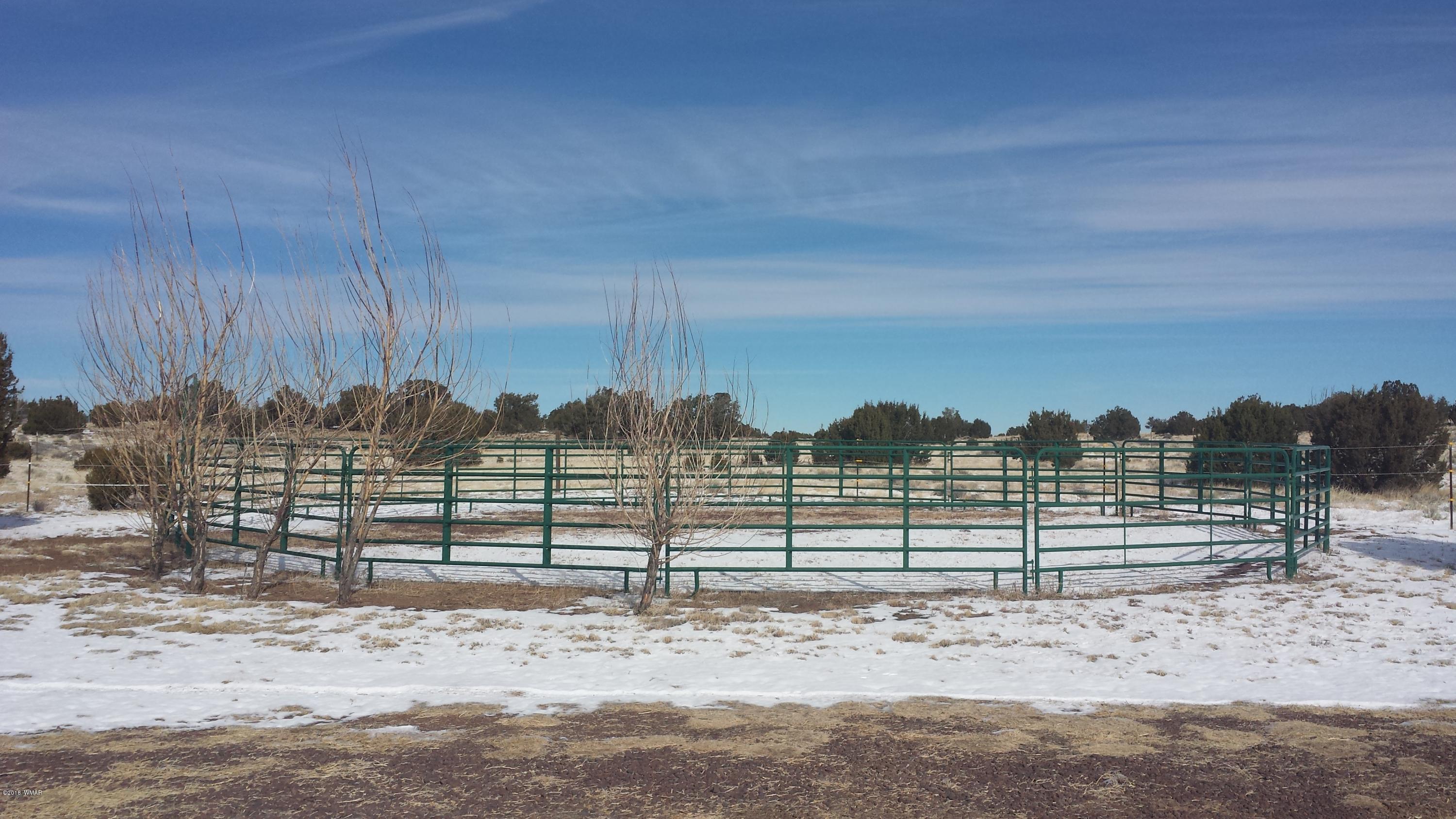 21 County Road, Unit 2 Concho, AZ 85924 - Photo 33 of 42