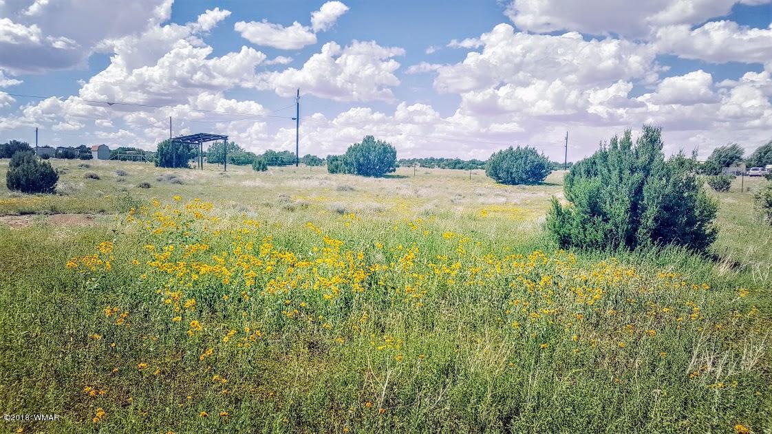 21 County Road, Unit 2 Concho, AZ 85924 - Photo 4 of 42