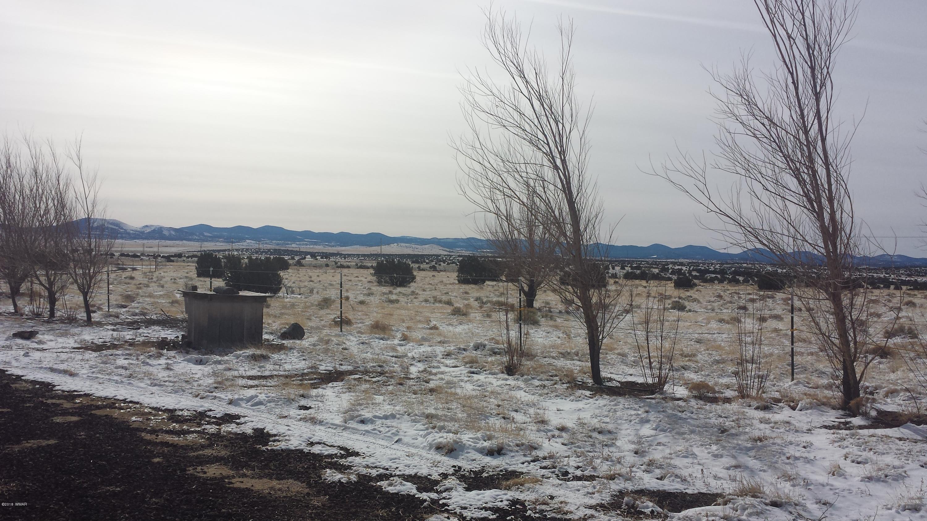 21 County Road, Unit 2 Concho, AZ 85924 - Photo 41 of 42