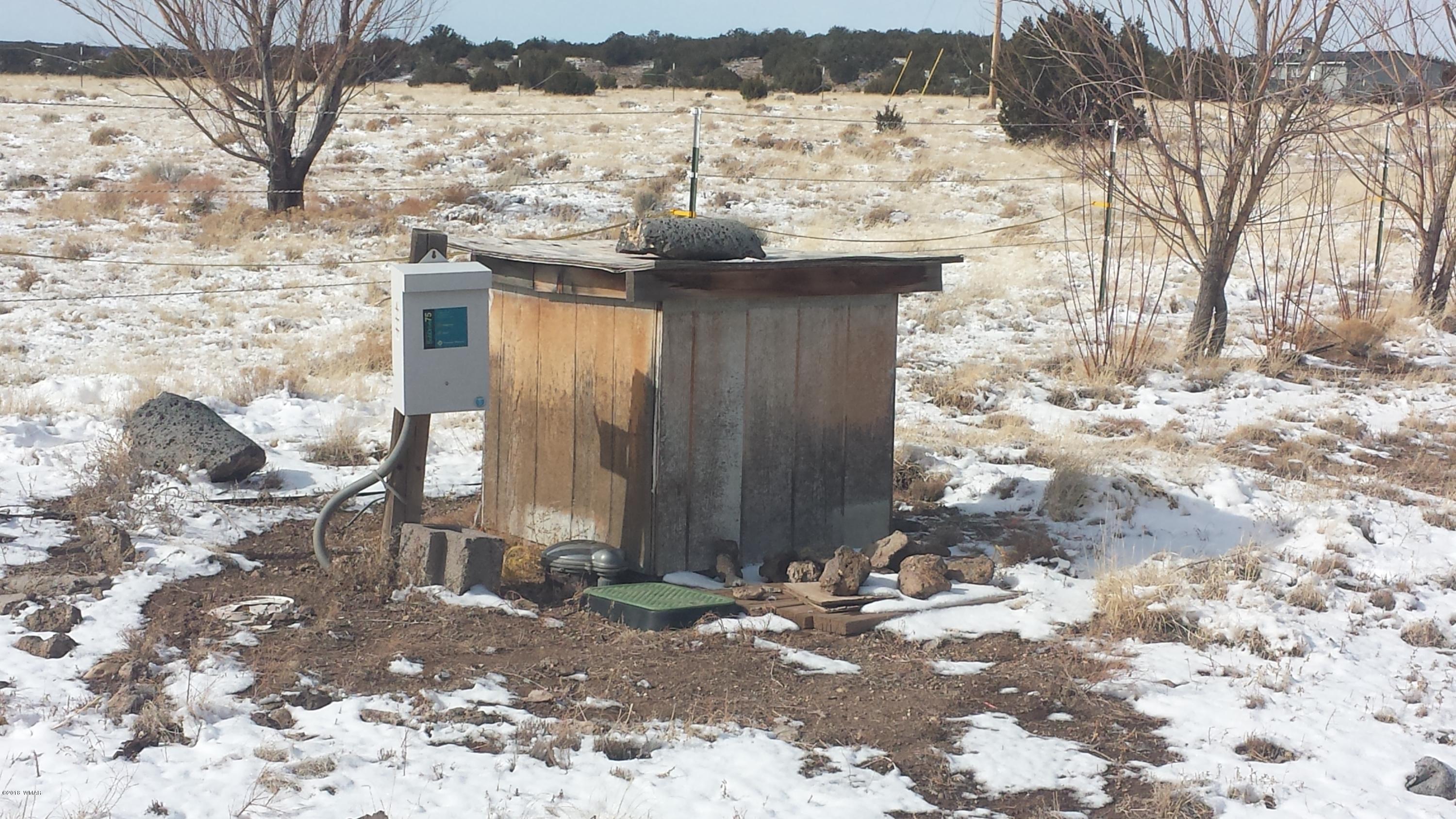 21 County Road, Unit 2 Concho, AZ 85924 - Photo 42 of 42