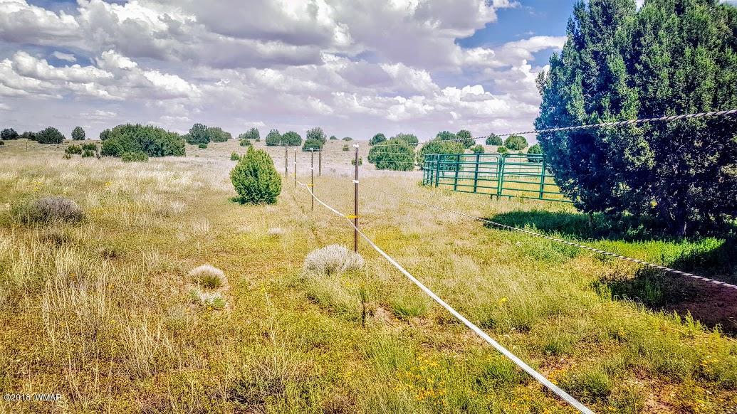 21 County Road, Unit 2 Concho, AZ 85924 - Photo 5 of 42